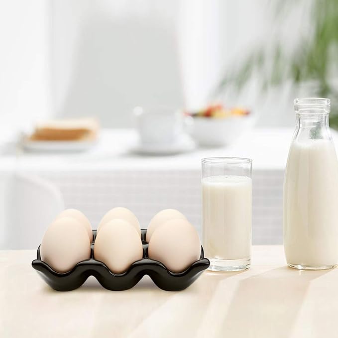 Flexzion Porcelain Egg Crate - 6-Egg Capacity Ceramic Egg Tray, Half Dozen Egg Holder for Fridge, Countertop Display - Black Decorative Serving Dish and Storage Organizer, 2 Pack
