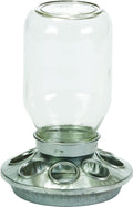 Glass Jar Chick Feeder - Little Giant - Mason Jar Baby Chick Feeder, 1 Quart (Item No. MJ9810)