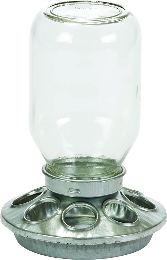 Glass Jar Chick Feeder - Little Giant - Mason Jar Baby Chick Feeder, 1 Quart (Item No. MJ9810)