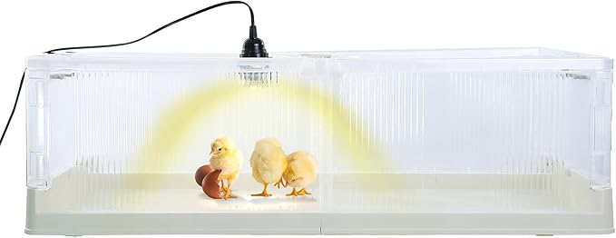 Large Transparent Chicken Brooder Box Chick Incubator 30-50 Indoor Chicken Coop 31.5inch Chick Brooder Kit