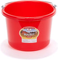 Plastic Animal Feed Bucket (Purple) - Little Giant - Round Plastic Feed Bucket with Metal Handle (8 Quarts / 2 Gallons) (Item No. P8RED6)