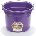 Little Giant® Flat Back Plastic Animal Feed Bucket | Animal Feed Bucket with Metal Handle | Horse Stall Feeding and Watering Supplies (Purple, 8 Quart)