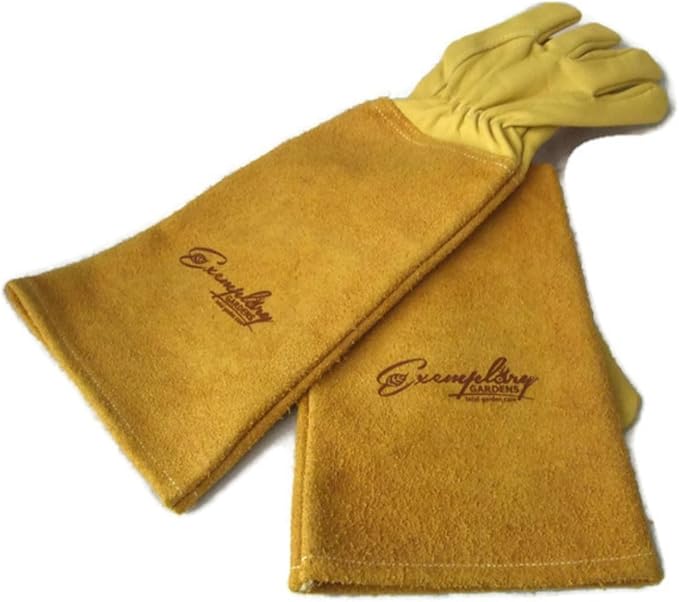 Rose Pruning Gloves for Men and Women - Thorn Proof Goatskin Leather Gardening Gloves with Gauntlet (Medium, Yellow)
