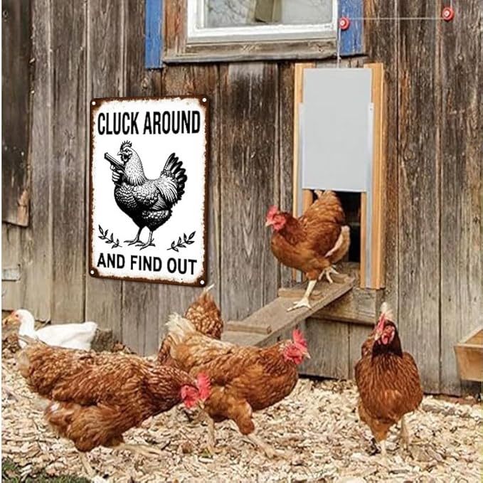 Funny Chicken Stop Staring My Cock Tin Sign for Farm Chicken Coop Farmhouse Kitchen Vintage Wall Decor 12x16 Inch