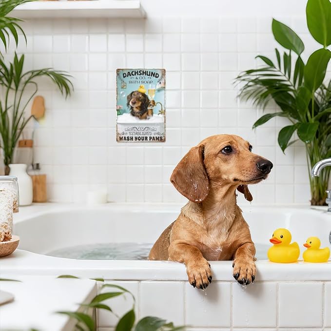 WADORN Funny Dachshund Metal Signs, 8x12 Inch Dachshund Company Bath Soap Always Wash Your Weiner Retro Tin Sign Vintage Wall Decor Art Plaque for Bathroom Toilet Restroom Shower Room Washroom
