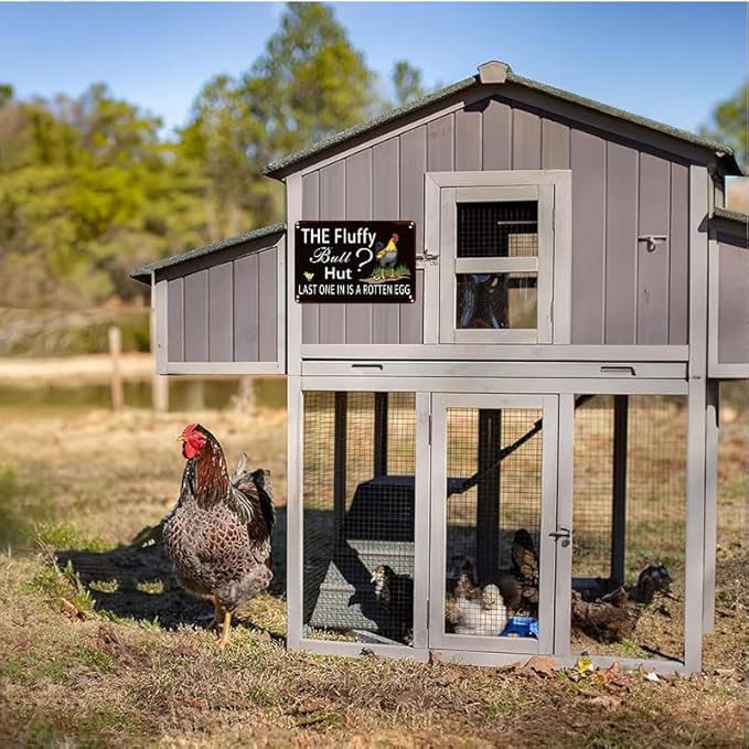 Fluffy Butt Hut Chicken 6x8 Inch Outdoor Decorative Yard Sign with Rooster Hen Chick Design for Farmhouse Patio Lawn Decor