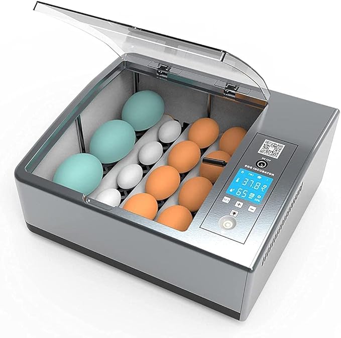 Small Chicken Egg Incubator Small Household Incubator Fully Automatic Eggs Digital Incubator Automatically Turn Eggs Humidity Display (16 Single Power Models)