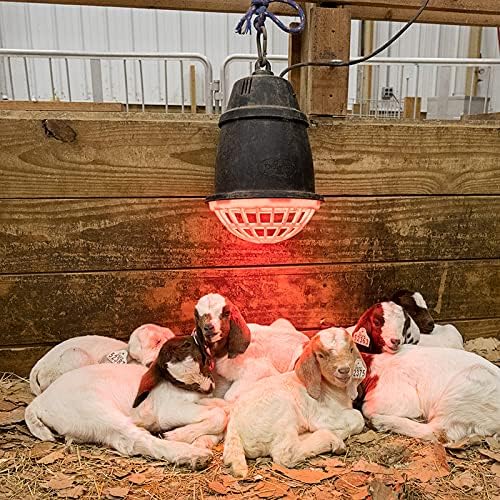Premier 1 “Prima” Heat Lamp®