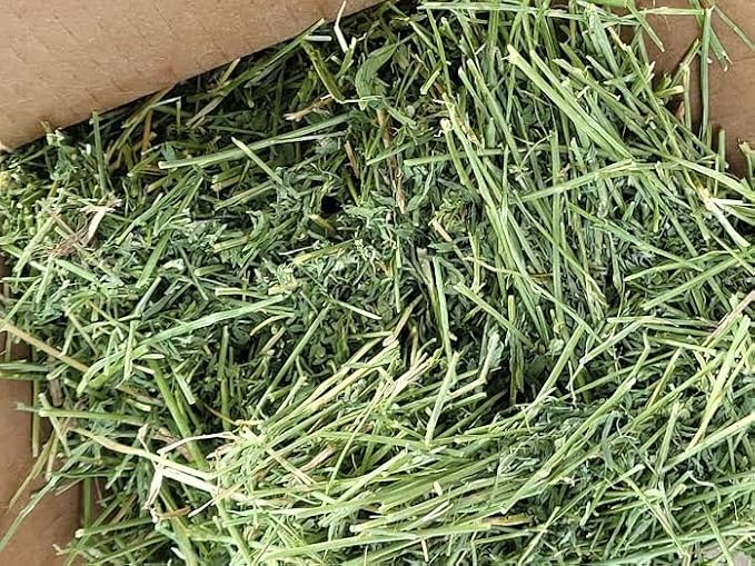 HALBY'S HAY, PREMIUM QUALITY FEED™ Premium Alfalfa Flake Hay – 1 lb Box – Farm Fresh, Sun-Cured, Feed for Rabbits, Guinea Pigs, Chinchillas & Small Pets – Soft, Green, Box-Packed USA Grown