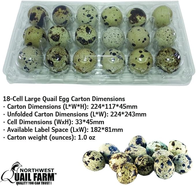 NWQuailFarm JUMBO Quail Eggs Cartons – 25/50/100 Pack - Holds 18 (3x6) Larger Quail Egg - Designed to hold Coturnix Jumbo Quail Eggs (100 Pack)