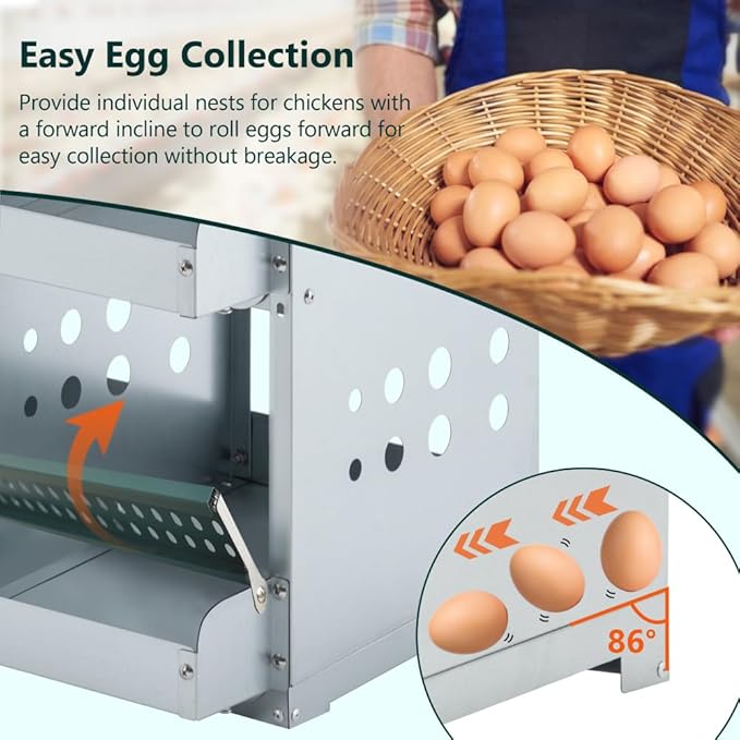 Durable Plastic Chicken Nesting Box for Hens – Roll-Away Egg Collection Design with Ventilation and Easy-Clean Surface (6-Hole,Green-1)