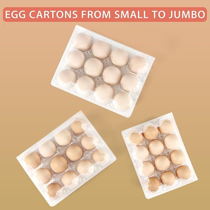 60 Pack Egg Cartons Cheap Bulk 1 Dozen Jumbo Egg Cartons Extra Large Duck Egg Holders with Sticker Labels Clear Empty Plastic Egg Containers for Home Ranch Farm Commercial Market Display