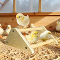 Chicken Toys, Roosting Bars for Chicks in Coop and Brooder, Wooden Chicken Perch, Coop Accessories for Large Bird, Baby Chicks, Parrot