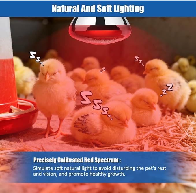 250W Heat Lamp Bulbs 1 Pack Infrared Heat Lamp for Chickens with E26 Socket and 5000 Hours Lifespan Heat Light Bulb for Pets Chicks Reptile Food Service Brooder Coop(2 Pack)