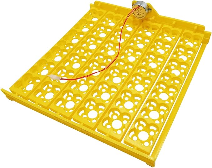 MagiDeal Eggs Incubator Turner Tray with Motor Chicken Quail Egg Hatcher Accessory for Hatching Chicken Birds, US Type