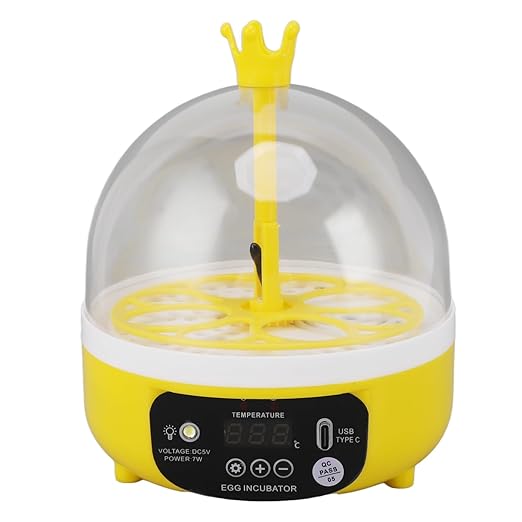 Mini Egg Incubator with Automatic Temperature and Humidity Control, Transparent Lid, for Chicken, Duck, Quail Eggs, 7-Egg Capacity (Manual Turning)