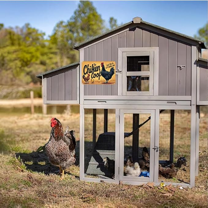 Chicken Coop The Fluffy Butt Hut Last One in is A Rotten Egg Outdoor Decorative Tin Sign for Yard Patio Farmhouse 6x8 Inch