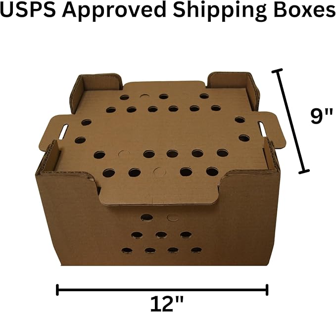 DUNCAN'S FAMILY FARM STORE Poultry Baby Chick Shipping Box Kit – 25 Chick Capacity, USPS Approved – Includes 10 Boxes, 10 Excelsior Pads & 2 GroGel Packs (200 Doses Total)