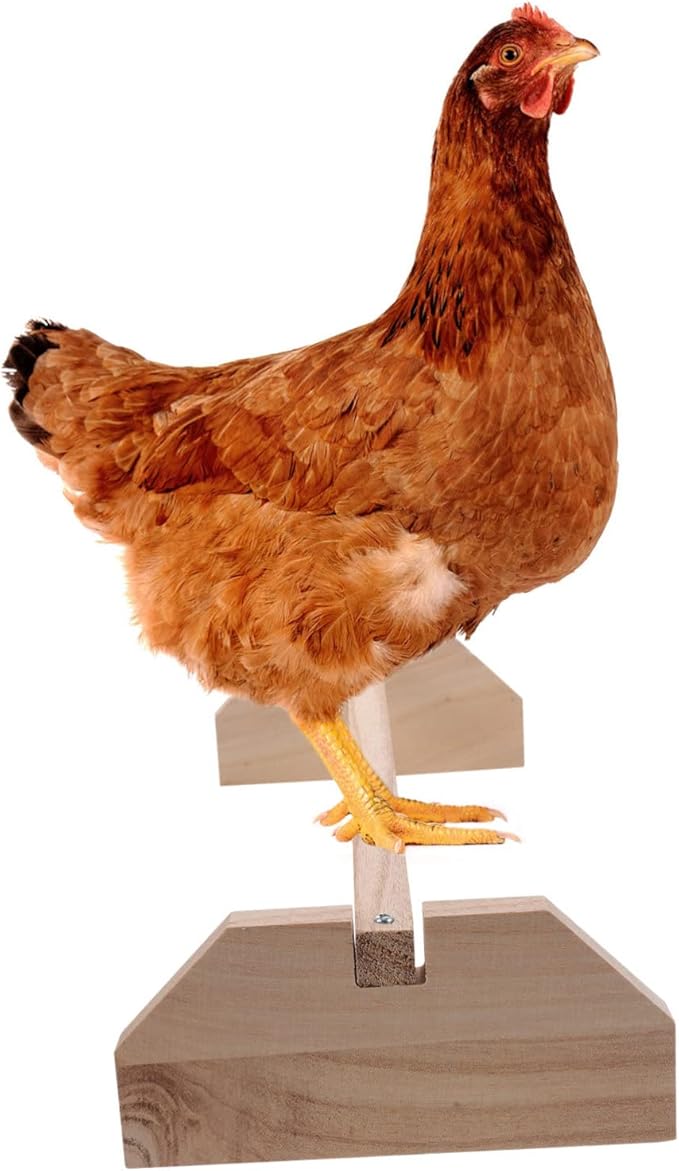 Happyyami Wooden Chick Perch Stand for Chickens and Birds Durable Natural Wood Roosting Bar Comfortable Perch for Brooder Coop and Farm Use