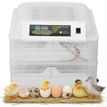 Incubator 112-Egg Fully Automatic Digital Egg Incubator for Hatching Chicken Duck Quail Bird, Auto-Turning with PID Temperature Control 20℃-40℃, Clear Window Poultry Hatcher with Egg Candler, 110V