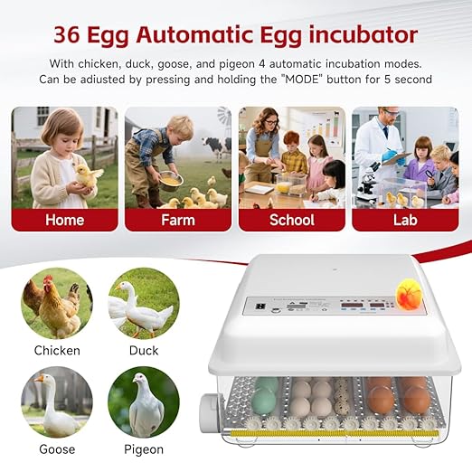 36 Egg Incubator with Automatic Egg Turning and Humidity Control, Incubators for Hatching Eggs, Chicken, Ducks, Goose, Pigeon, Quail, Parrot Incubator for Farm, Lab, Home (White)