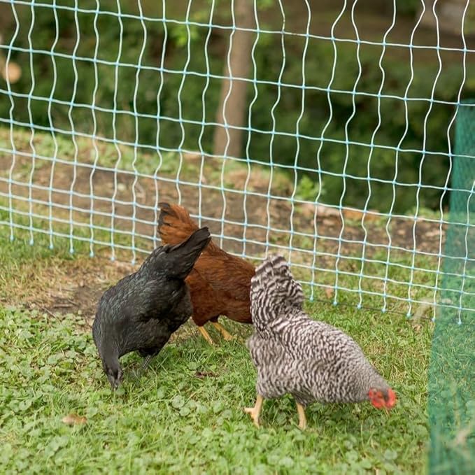 Starkline 48" x 82' Premium Electric Poultry Netting Solar Kit | White/Blue All-in-One Solar Electric Fence Kit for Backyards, Homesteads, Farms, and Ranches