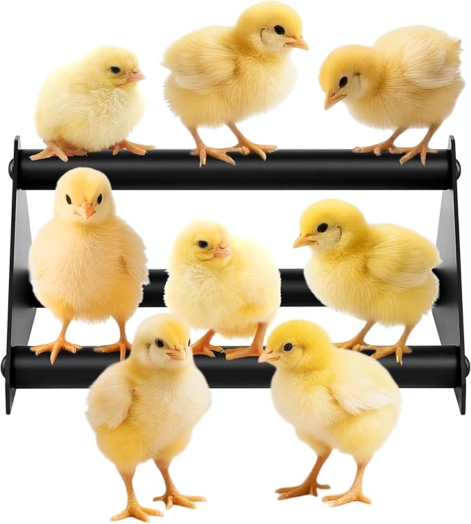Makerfire Chicken Perch for Coop, Metal Roosting Bars for Chickens in Coop, Anti-Termite Chewing Baby Chick Perch Toys for Brooder, Training Perch Ladder for Large Bird, Parrot, Hens, Macaw (Small)