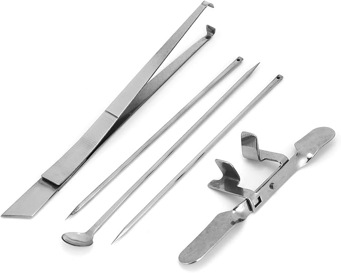 5Pcs Capon Knife, Tool Stainless Steel Kit Poultry Ca Ion Chicken Farms Veterinary Instrument for