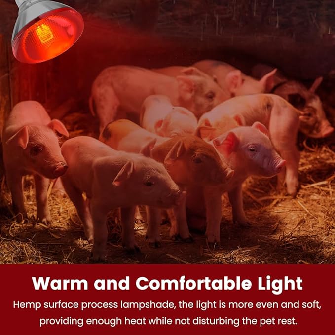 Infrared Heat Lamp Bulb for Chickens Red Heat Lamp Flood Light Heat Lamp Bulb 150 W Heating Bulbs for Brooder Coops Pets Chicks Reptiles Food Service (2 Pack)