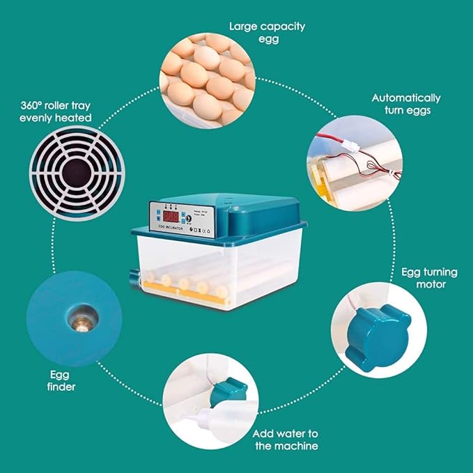 Egg Incubator, Automatic Incubator with Digital LED Display Automatic Temperature Control and Rotation, Incubator for Chicken Duck Goose (12 Eggs)