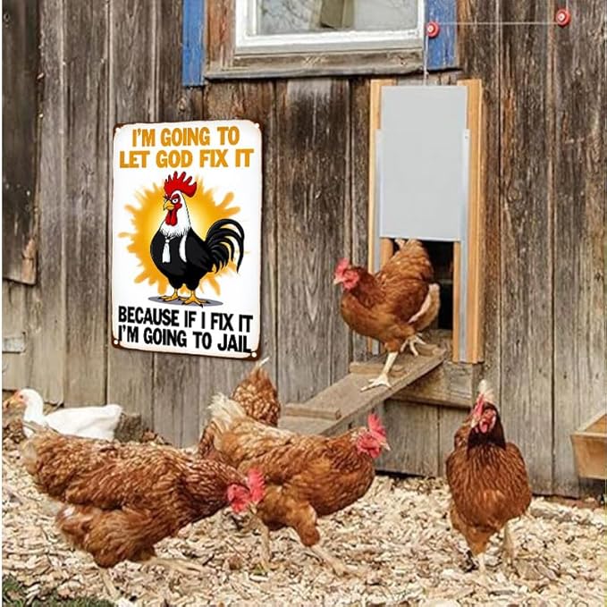 Funny Chicken Gifts Christian God Gifts I'm Going to Let God Fix It Tin Sign for Home Farm Chicken Coop Farmhouse Kitchen Garden Decor 6 X 8 Inch