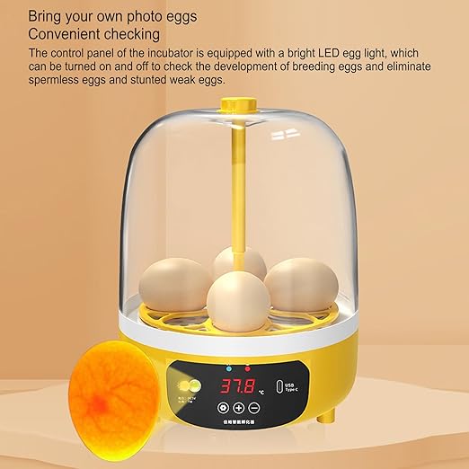 4 Eggs Incubator, Automatic Temperature and Humidity Control Eggs Hatching Incubator, Visual Low Noise Energy Saving USB Mini Poultry Hatcher for Eggs, Pigeon Eggs, Quail Eggs