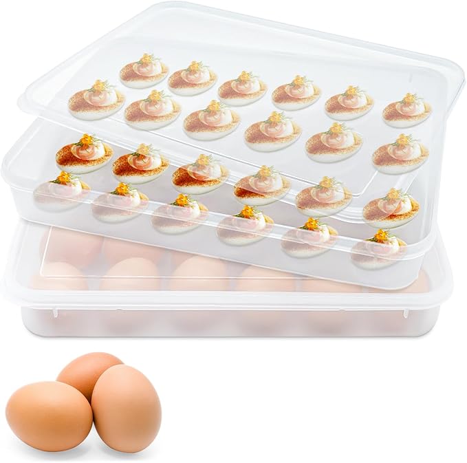 2 Pack Deviled Egg Trays,Stackable Plastic Egg Holder for 48 Eggs,Clear Egg Storage Containers for Fridge,Keep Fresh,Easter,Thanksgiving Day Party Kitchen Supplies