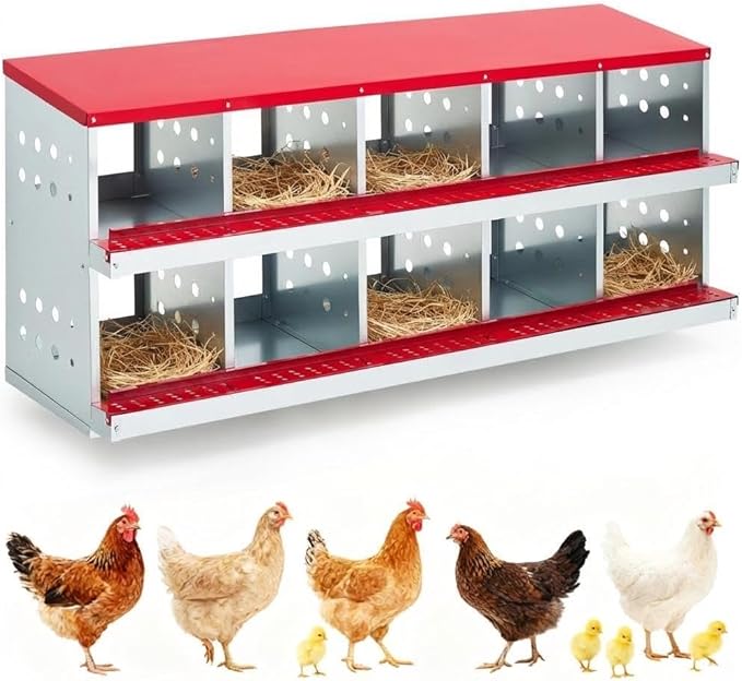 Metal Chicken Nesting Boxes - 10 Hole Wall-Mountable Laying Boxes with Flip-Top Lid & Roll-Away Egg Collection, Weatherproof Galvanized Steel, Includes 10 Fake Eggs for Chicken Coop, Red