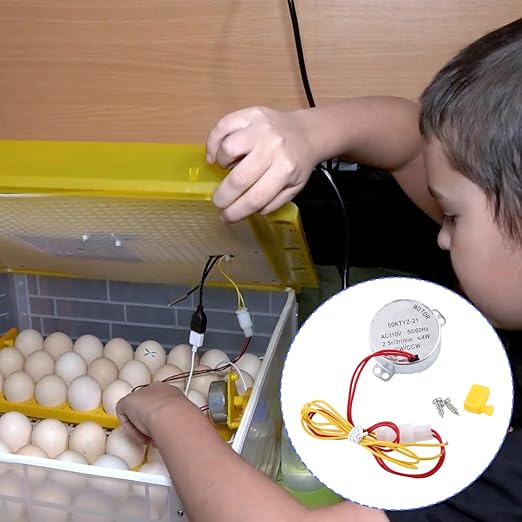 Joyzan Egg Turner Motor, AC Chicken Rotator Incubator Automatic Turntable Hatching Tool Small Guide Accessory Connector CW CCW Dual Working Modes for Incubating Electric Ducks Goose Birds Tray Quail