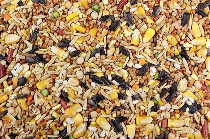 Chicken Feed, Whole Ingredient Chicken Treat, Wied Variety of Grains Poultry Feed (5 Pound (Pack of 1), Singer Mix)