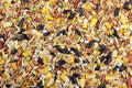 Chicken Feed, Whole Ingredient Chicken Treat, Wied Variety of Grains Poultry Feed (20 Pound (Pack of 1), Singer Mix)
