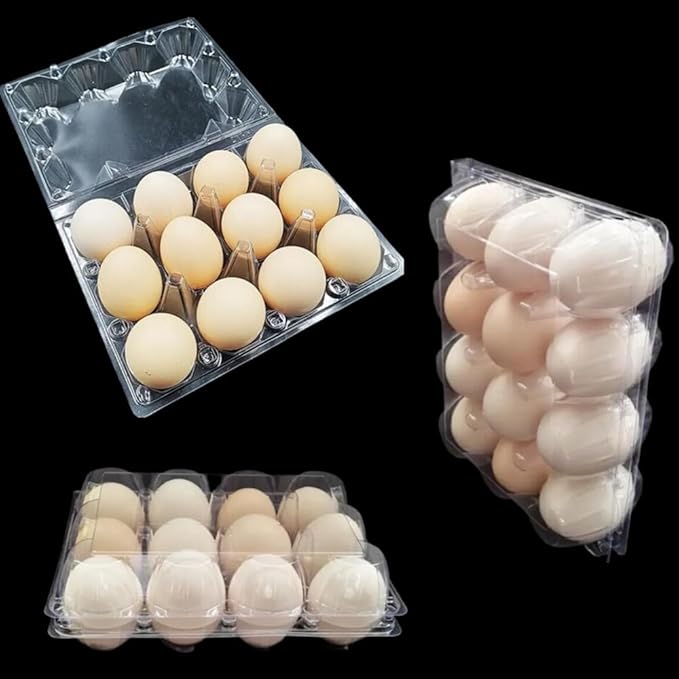 Honkenda Plastic Egg Cartons Cheap Bulk, Clear Eggs Holder Storage Container, Empty Chicken Egg Tray with Hinge Lid, 12 Grids Egg Protection Box for Refrigerator Farm Market Home (40 Pack)