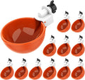 Lil'Clucker Large Automatic Chicken Waterer Cups | Chicken Water Feeder Suitable for Chicks, Duck, Goose, Turkey and Bunny | Poultry Water Feeder Kit (Orange, 12-Pack)