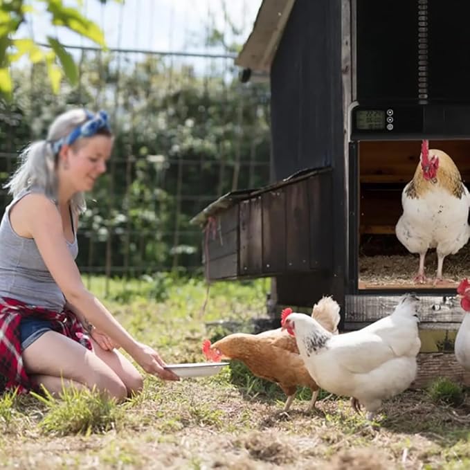 Anti-Pinch Sensor Chicken House Door,Solar Timer Chicken House Door,Programmable With Button,3 Aa Battery,With Solar Panel And Remote Control Coop Door,328 * 244 * 50mm