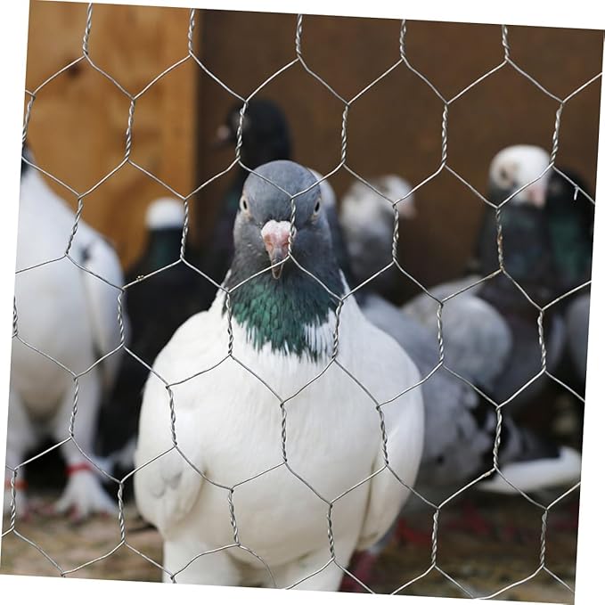 POPETPOP 1Roll Galvanized Chicken Coop Wire Fence X Heavy Duty Poultry Netting for Garden Protection Weatherproof Mesh for Animal Enclosures Easy to Install