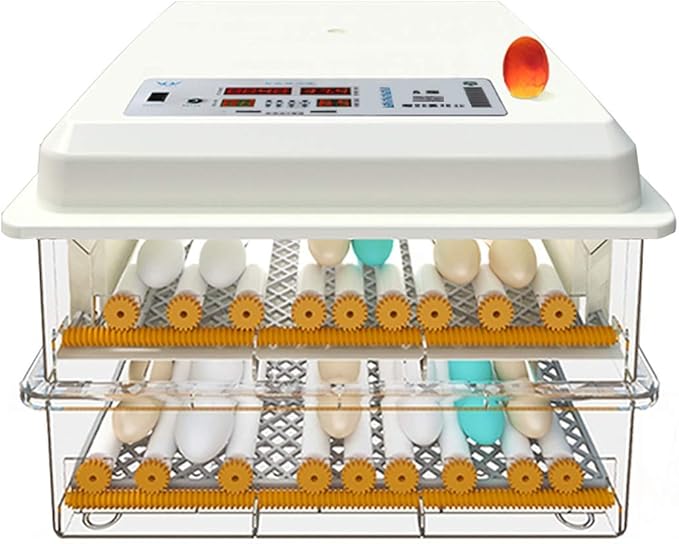 Automatic Incubator Egg Digital Egg Brooder with Temperature Display and Auto Turning for Chicken Goose Duck Poultry Hatcher (16 Egg)