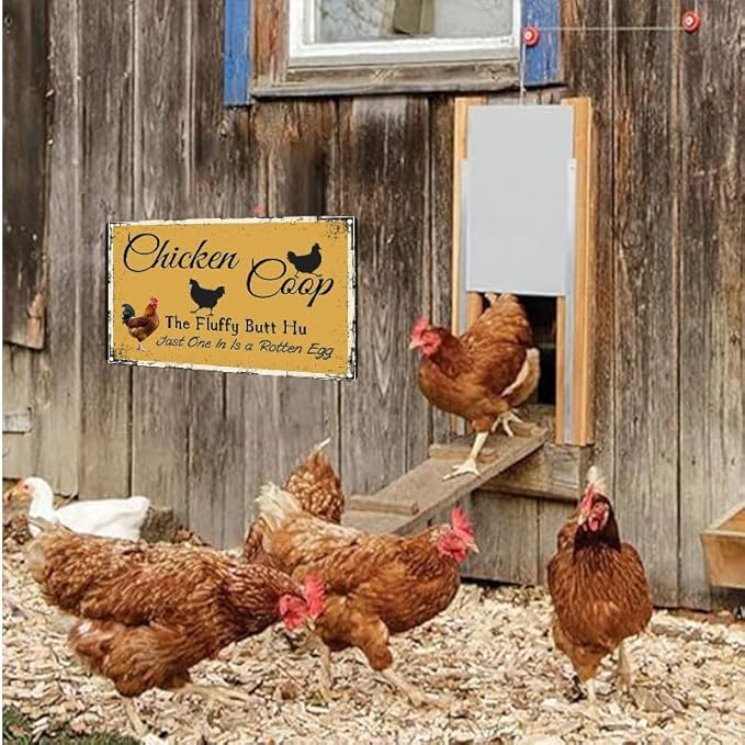 Chicken Coop Outdoor Decor with Fluffy Butt Hut Design 6x8 Inch Tin Sign for Yard Farmhouse Poultry Lovers
