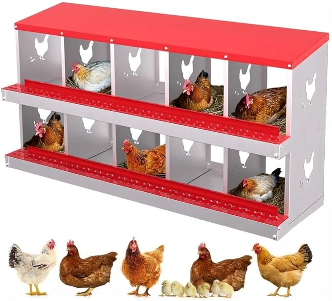 Chicken Nesting Box,10 Holes Galvanized Steel Metal Chicken Laying Box with Automatic Roll-Away Egg Collection System & Removable Tray,Wall Mount Nesting Boxes