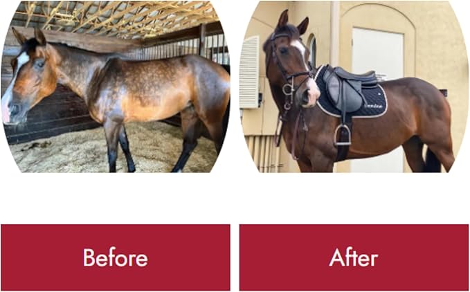 Healthy Coat Feed Supplement For Horses: Gallon. Skin, Coat, Body Condition, Performance, Allergies, Immune System, Hoof, Joint, Omega 3 & 6 Fatty Acids.