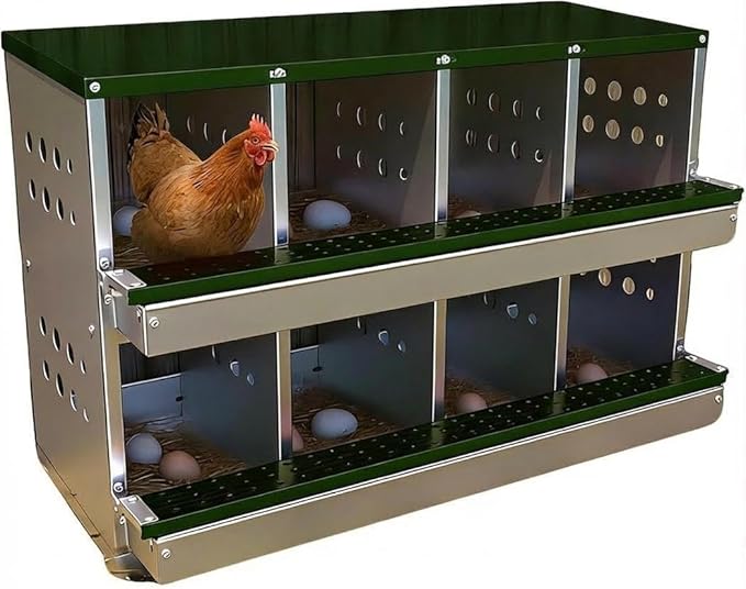 Chicken Nesting Box, 8 Compartment Metal Nesting Box, Wall Mountable Nesting Boxes with Swing Perch and Roll Away Egg Collection, Vented Holes, 8 Training Eggs Included