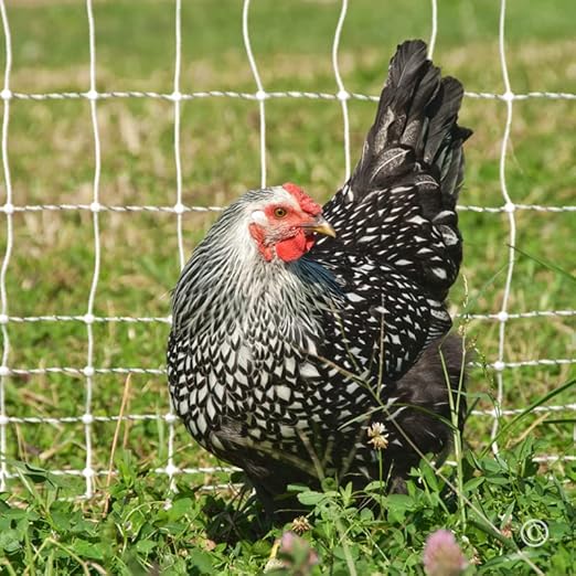 Premier 1 Portable PoultryNet® Electric Fence | Quick & Simple to Move | White/Black Fence for Chickens, Ducks, Geese – 48"H x 164'L | Best in Class 2" x 3" Spacings