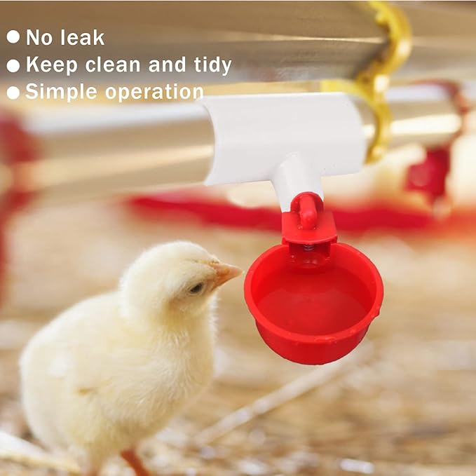 20 Pieces Chicken Waterer PVC Tee Fittings, Automatic Poultry Waterers PVC Fittings for 1/8" FTP Threads, Chicken Water Drinker and Feeder Cups for Poultry Nipples Chicken