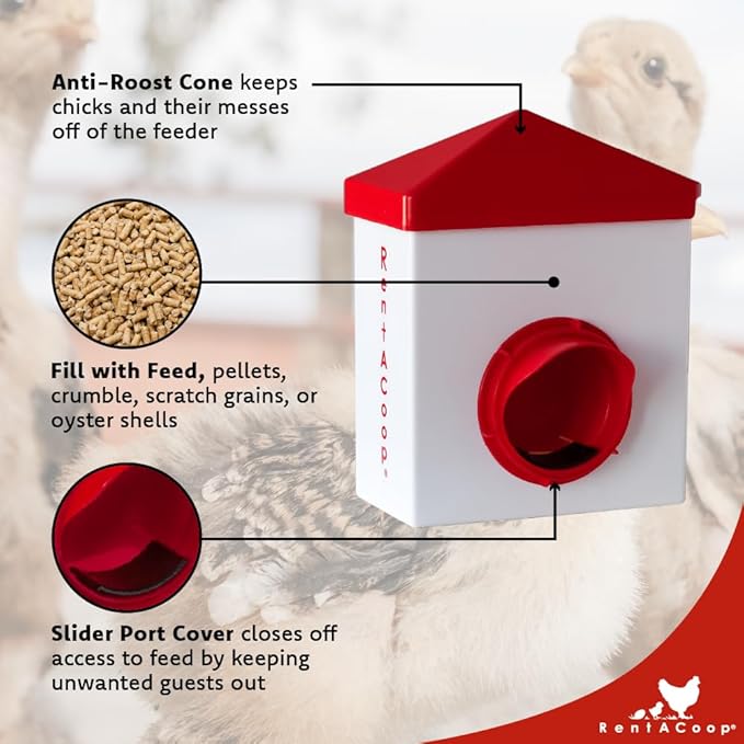 RentACoop 2.5 Pound Chick2Chicken Medium Port Feeder and 64 Ounce (2 Liter) Drinker Set for Chicks, Chickens, Quail, and Other Small Birds