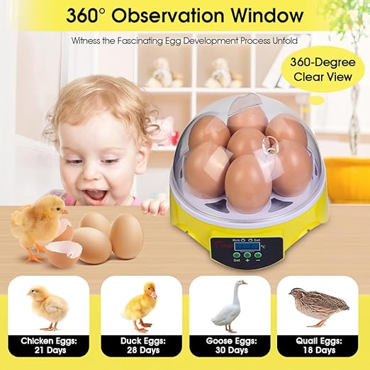HOWOOIUA Egg Incubator 360° View 7 Eggs Poultry Incubator for Hatching Chickens with Manual Temperature a for Chicken, Quail, Parrot Eggs